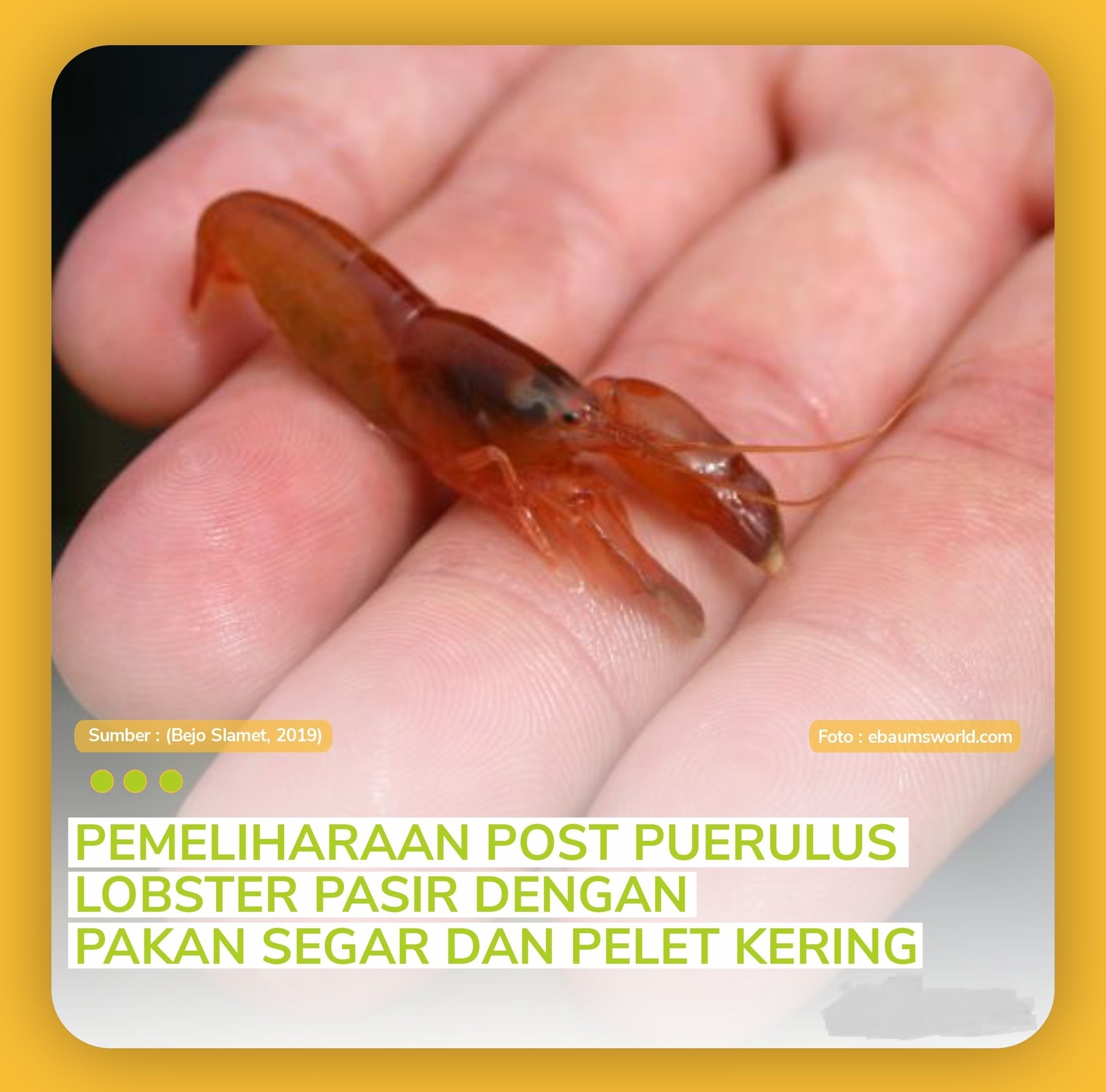 artikel