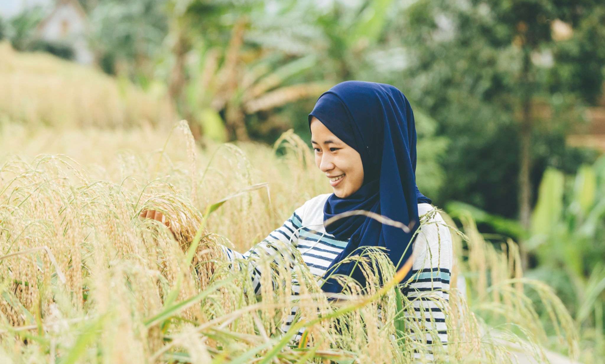 Gen Z Harapan Baru Masa Depan Pertanian Indonesia