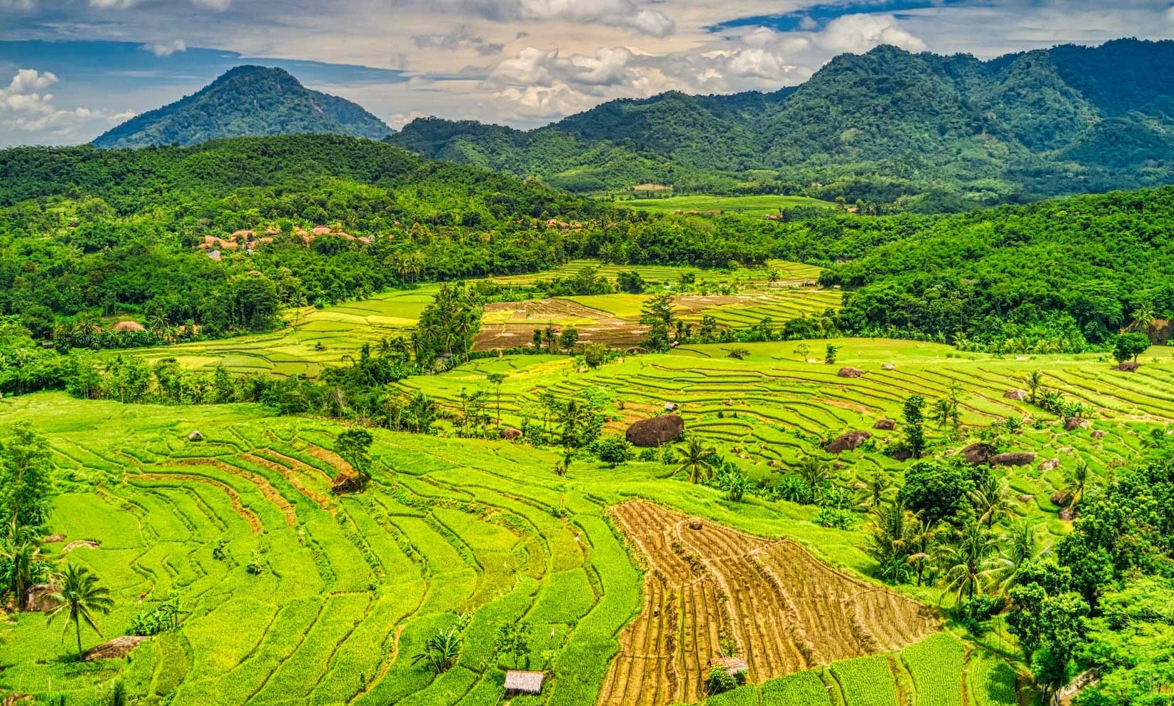 Apakah Indonesia Negara Agraris dengan Indeks Ketahanan Pangan Tinggi?