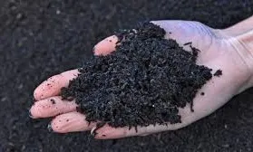 Biochar: Solusi Cerdas untuk Pengomposan Limbah Organik yang Ramah Lingkungan